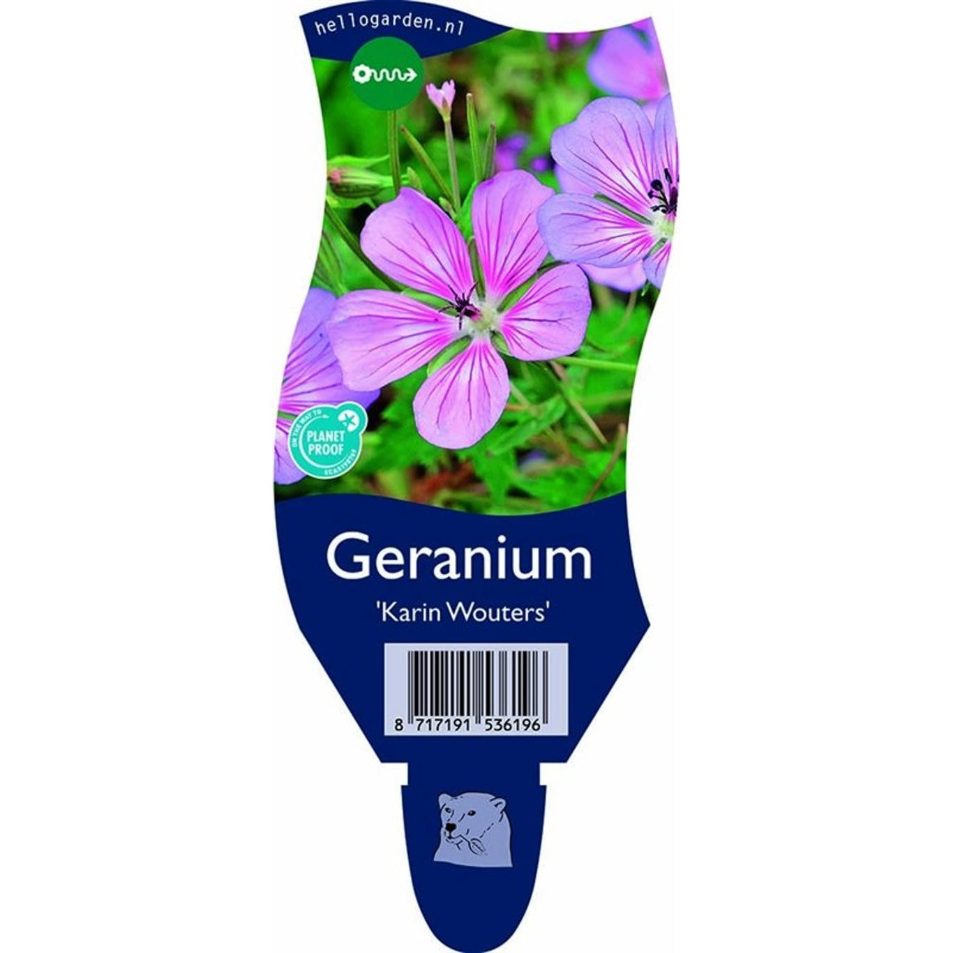 Näva – Geranium 'Karen Wouters' - P11